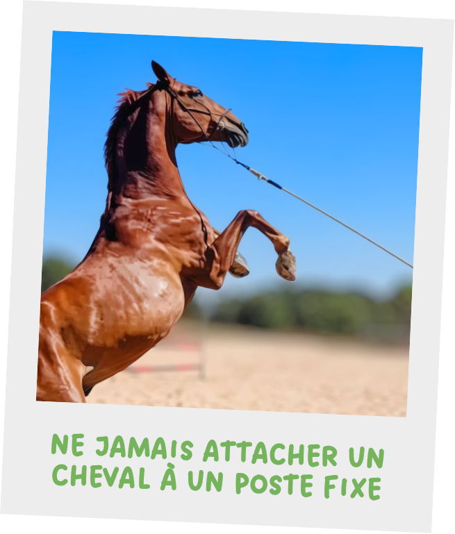 Photo d'un biothne abimé par un frottement très intense et répété sur du crépi.