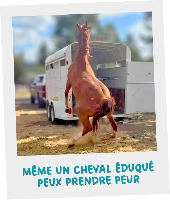 Photo d'un biothne abimé par un frottement très intense et répété sur du crépi.