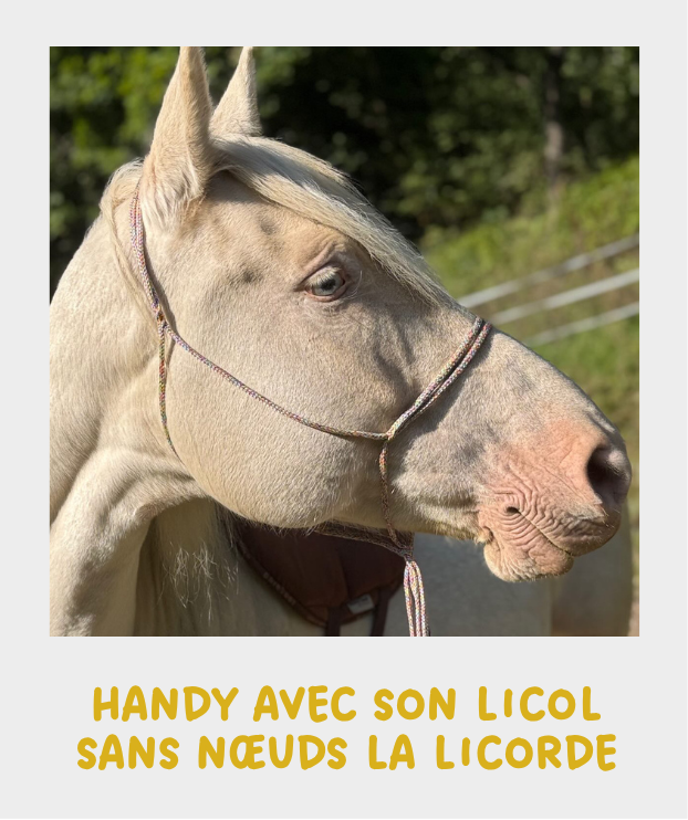 Photo d'un biothne abimé par un frottement très intense et répété sur du crépi.